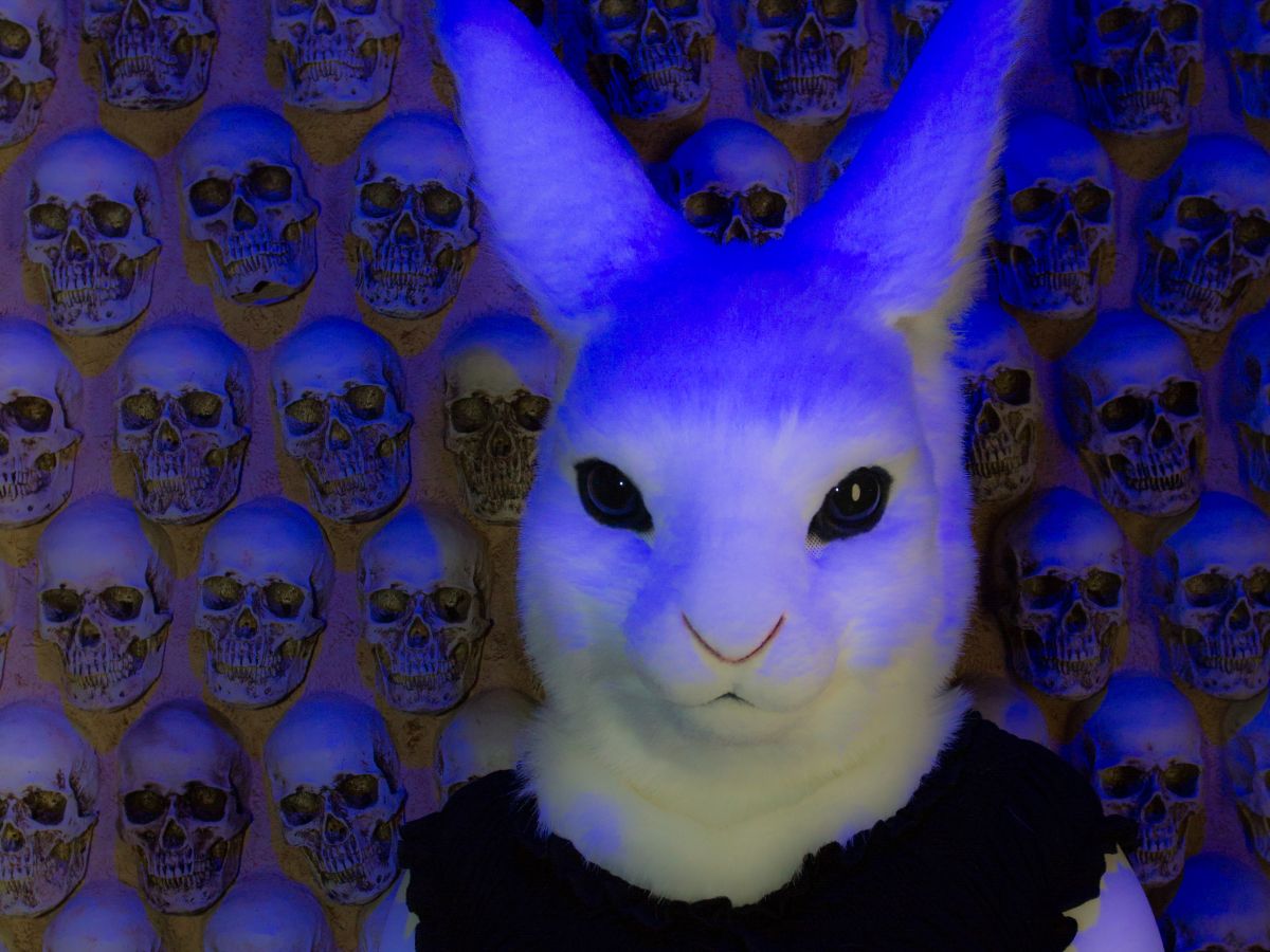 Studio Booty photoshoot, Lumie bunny