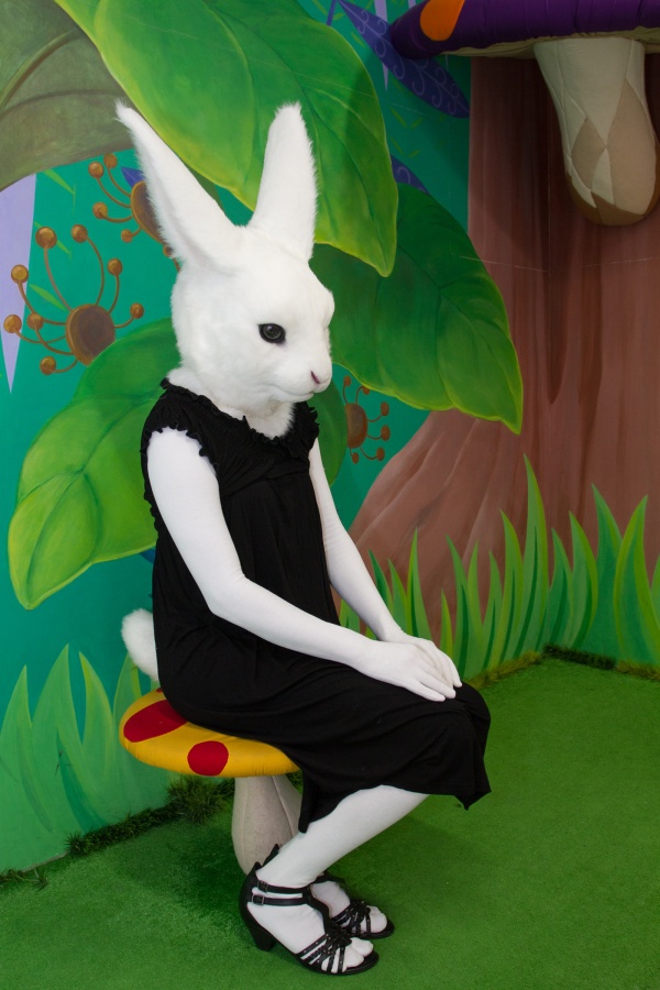 Studio Booty photoshoot, Lumie bunny