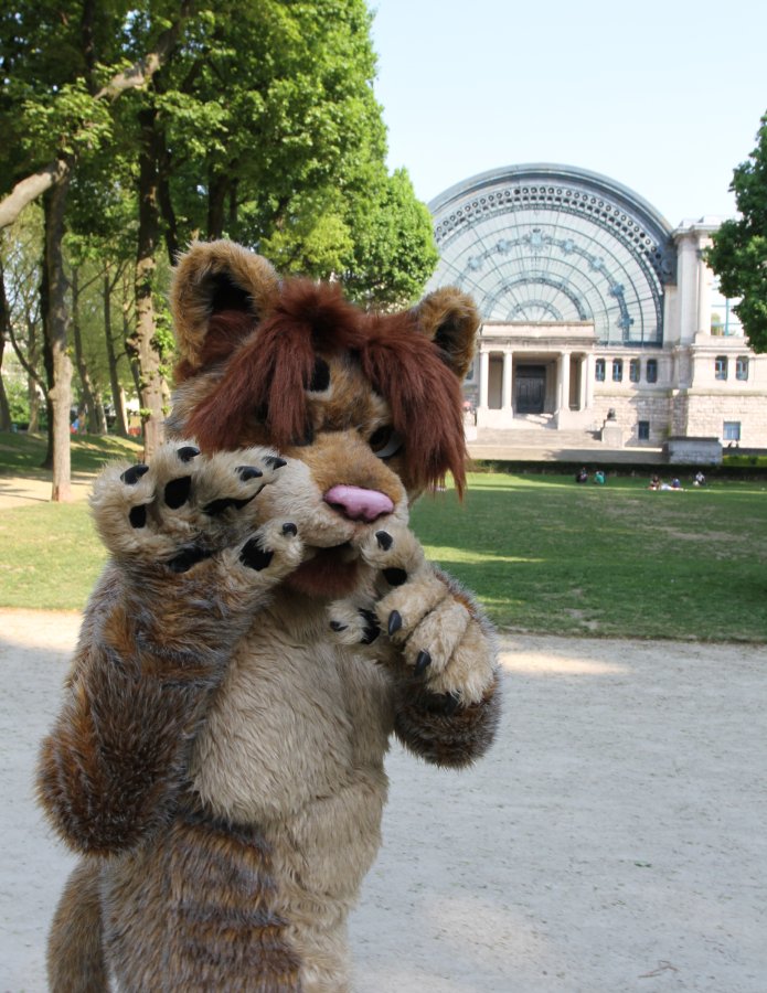 Belgium Strikes Back, Fursuiters in the park