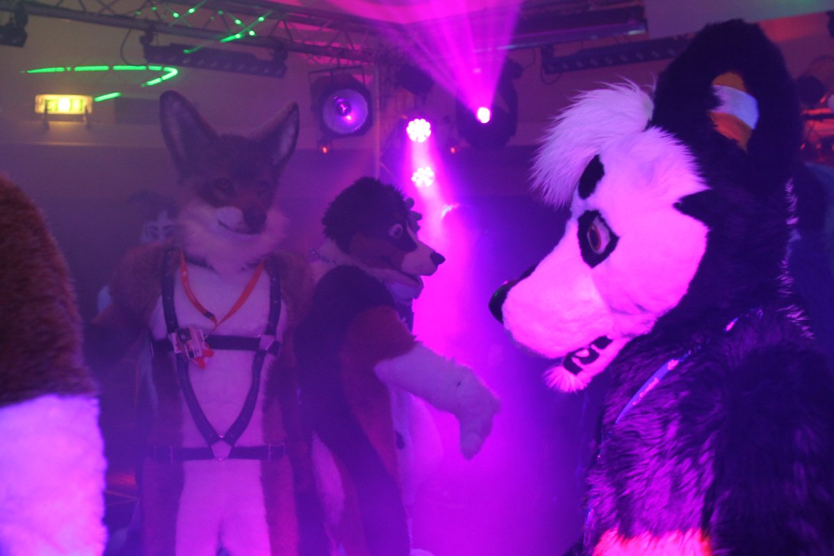 ConFuzzled 2013, Lights and colours