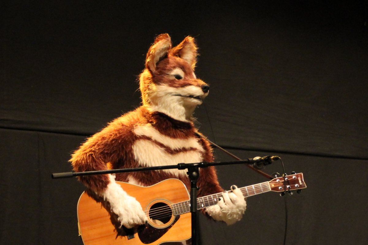 Eurofurence 16, Stage events