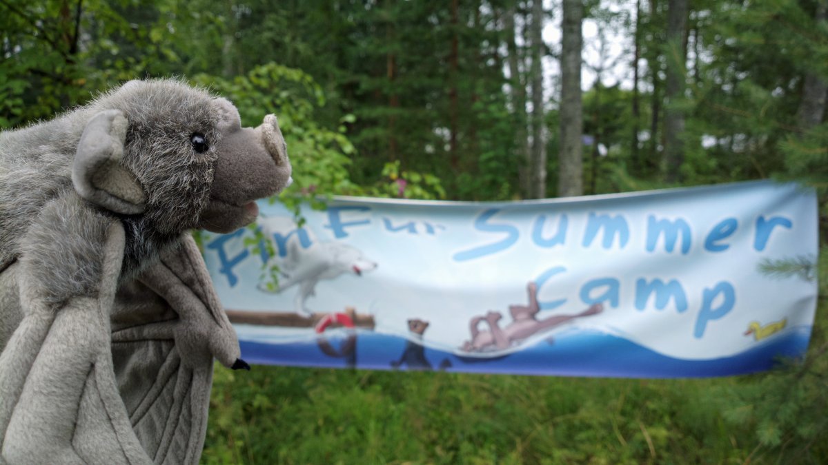 FinFur Summer Camp 2013, Furry camping photos