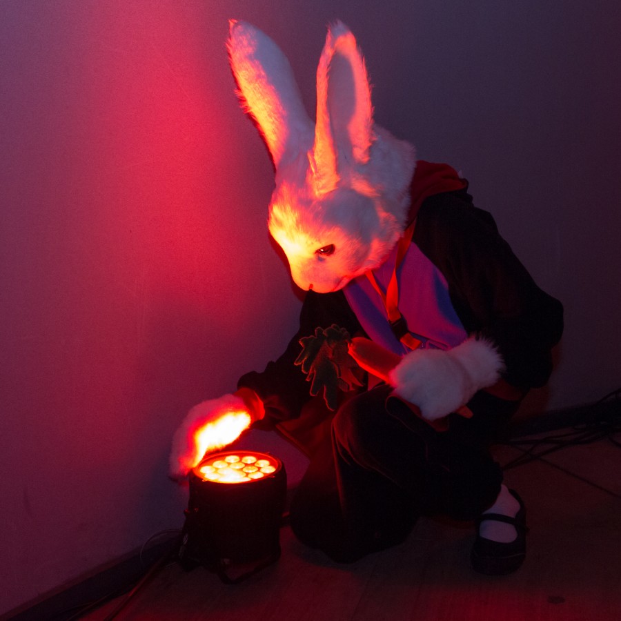 Flüüfff 2018, Lumie bunny