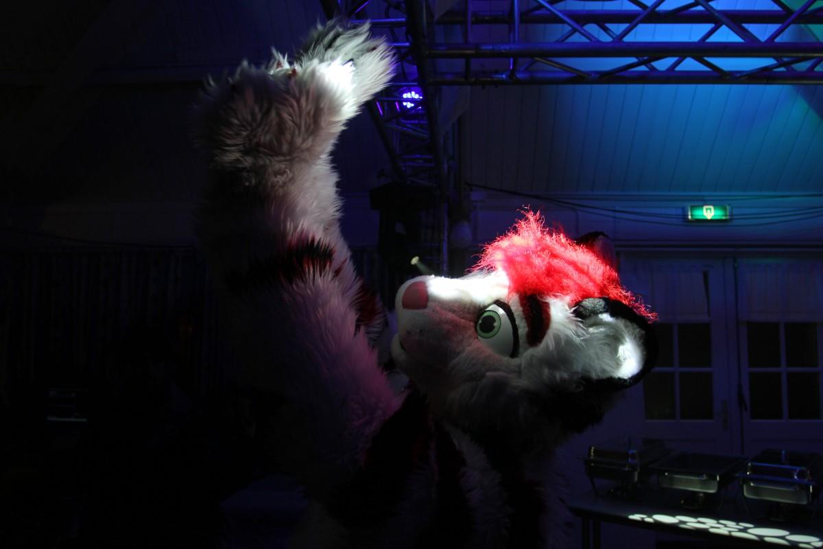 Furs on Fire 2011, Furries