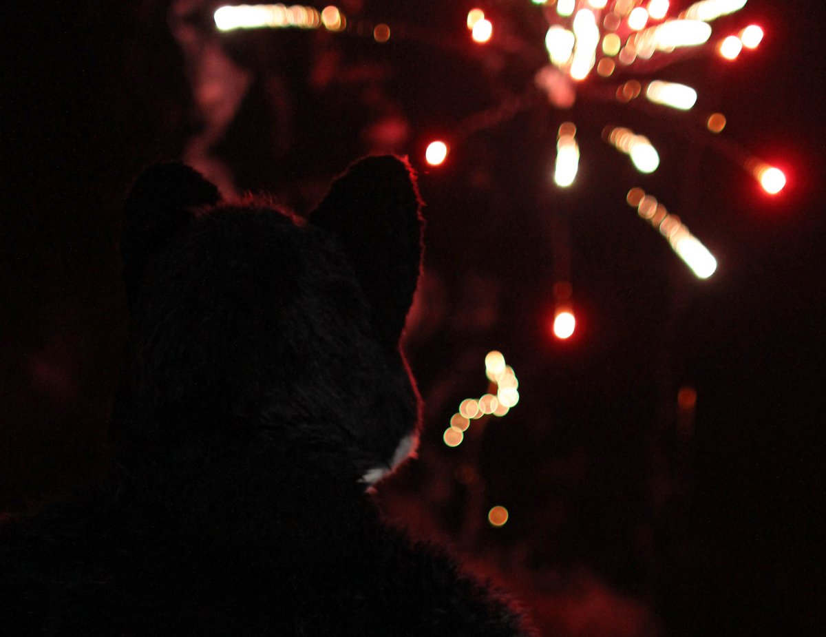 Furs on Fire 2011, Fireworks