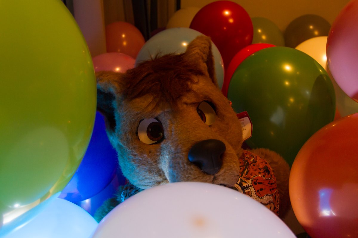 Furvester 2018-2019, Balloon Party