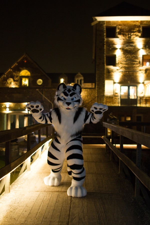 Furry Weekend Holland 2018, Night time photoshoots