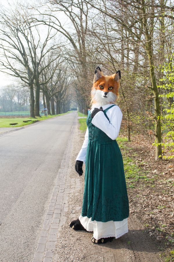 Furry Weekend Holland 2018, Daylight photoshoots