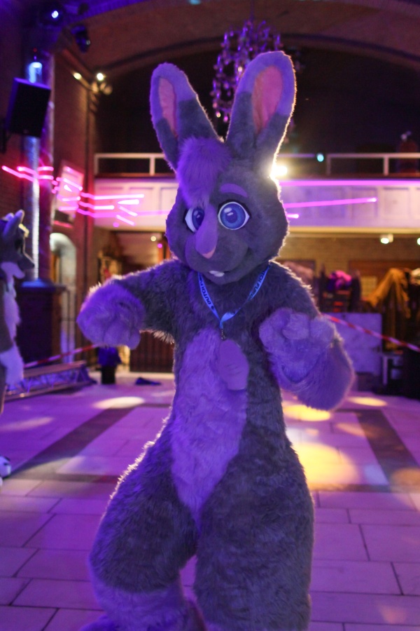 Furry Weekend Holland 2018, Convention