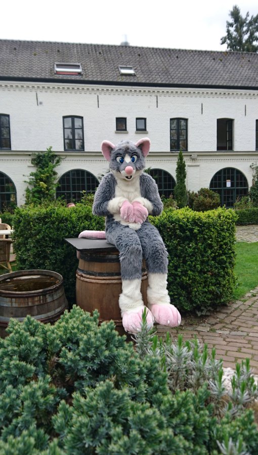 Furry Weekend Holland 2018, Convention