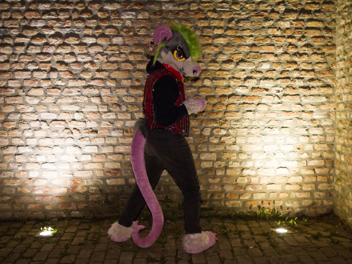 Furry Weekend Holland 2018, Night time photoshoots
