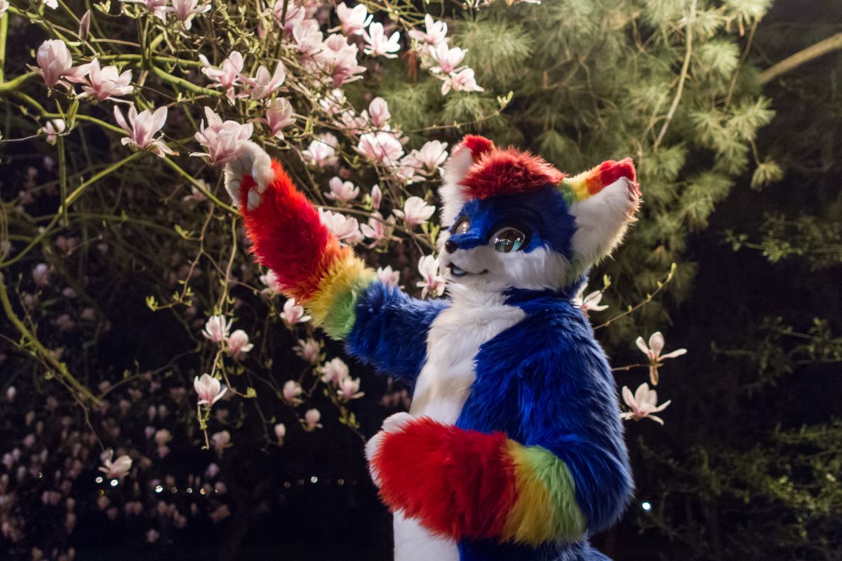 Furry Weekend Holland 2019, Convention photos