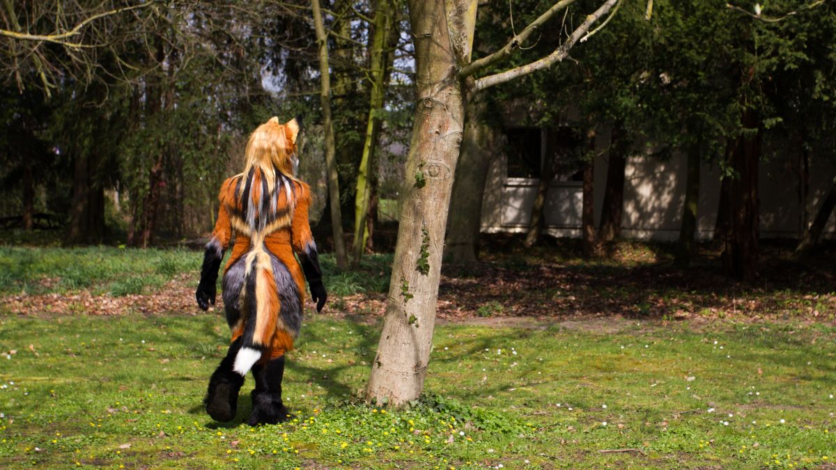 Furry Weekend Holland 2019, Mini photoshoots