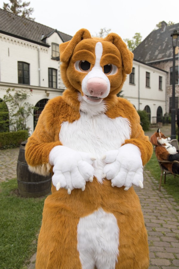 Furry Weekend Holland 2022