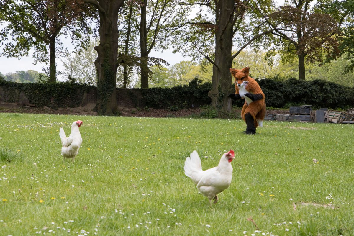 Furry Weekend Holland 2022, Photoshoots