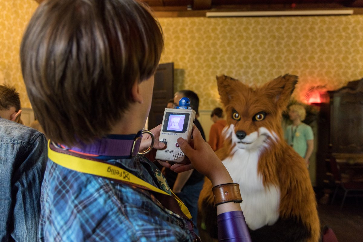 Furry Weekend Holland 2022, Other photos