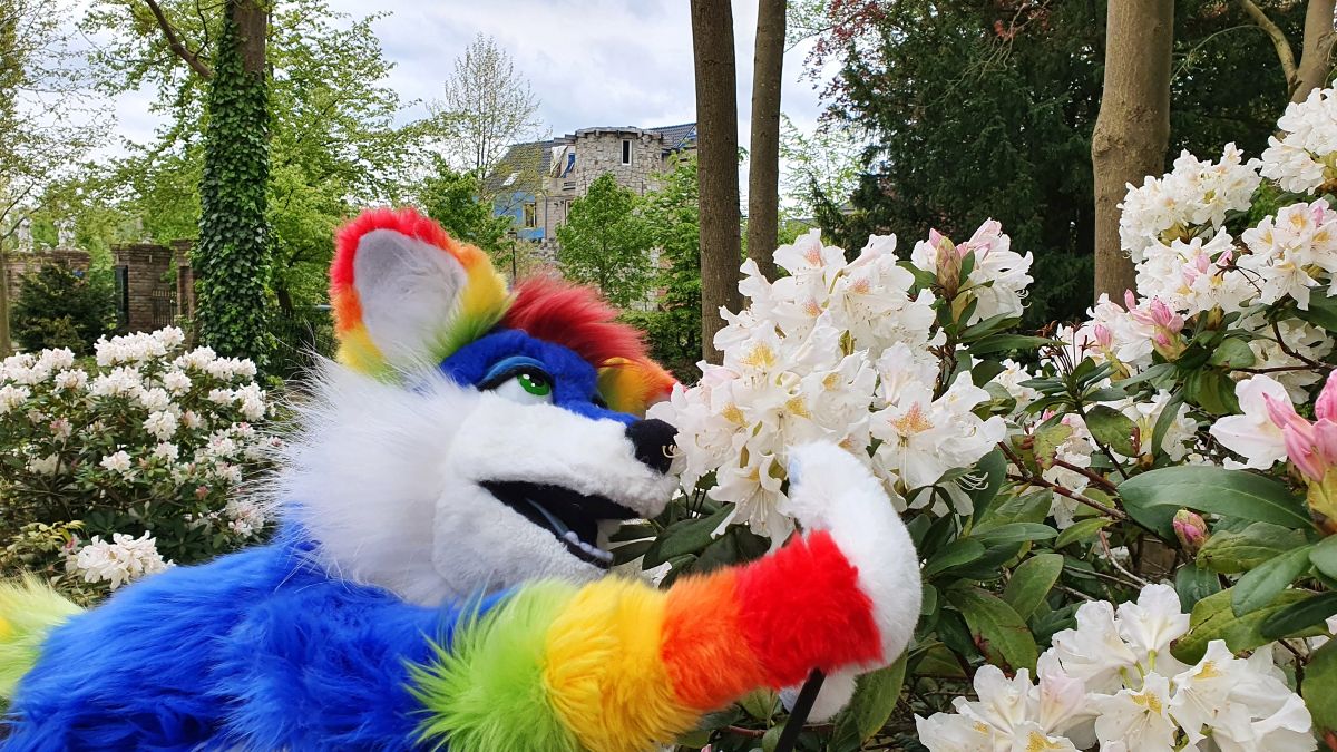 Furry Weekend Holland 2022, Other photos
