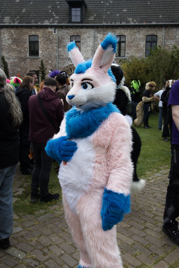 Furry Weekend Holland 2022, Fursuits