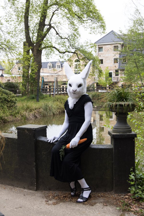 Furry Weekend Holland 2022, Lumie bunny