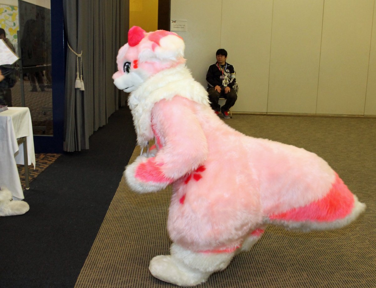Japan Meeting of Furries 2016, Fursuits