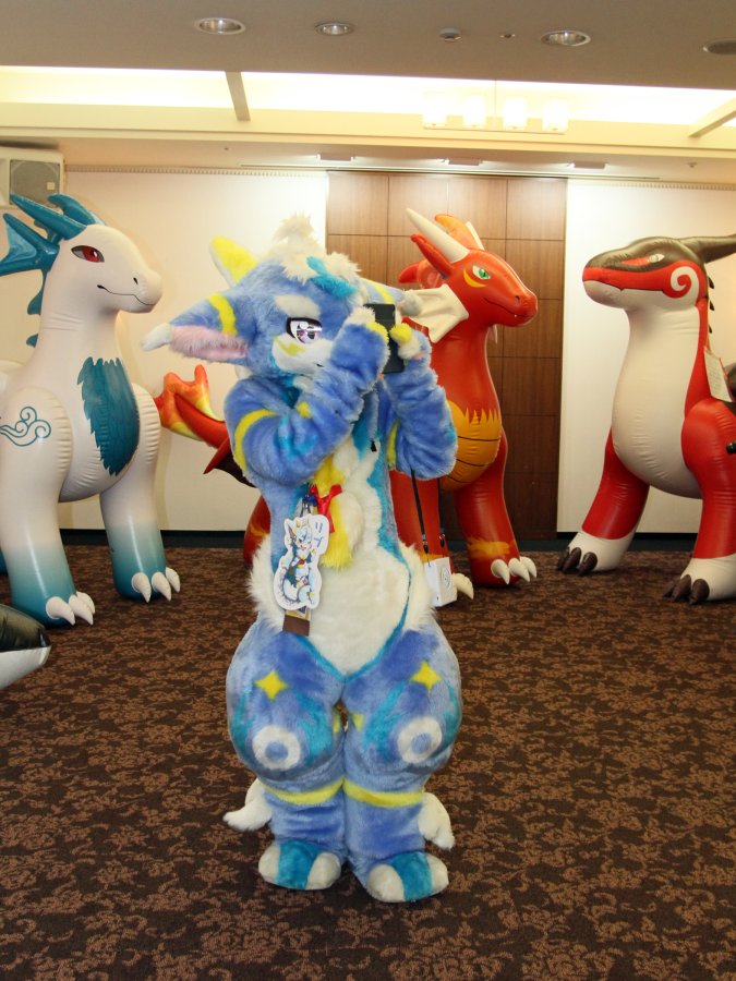Japan Meeting of Furries 2017, Convention photos