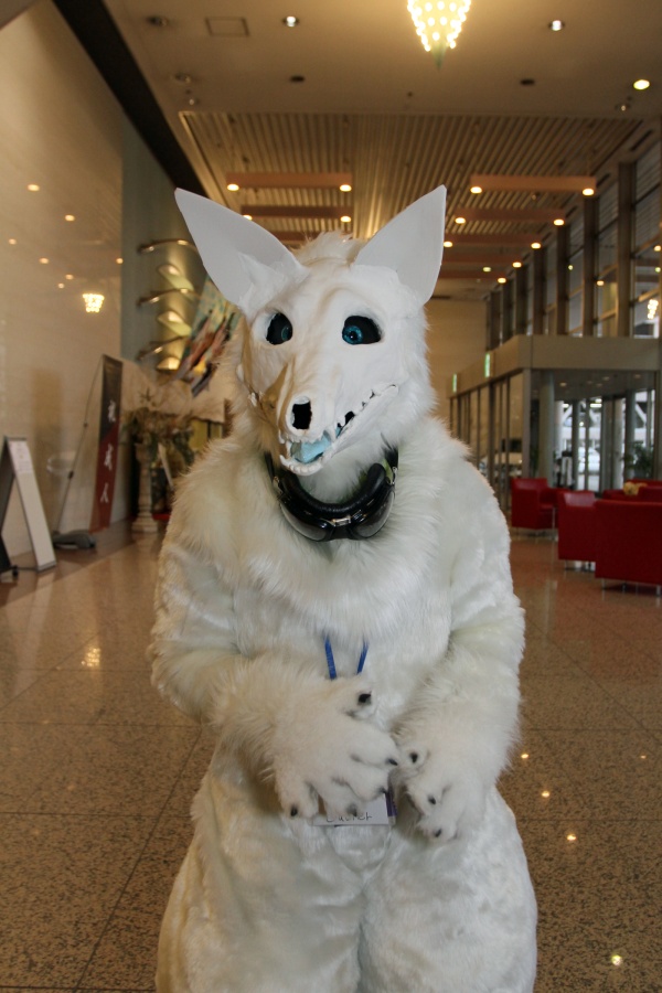 Japan Meeting of Furries 2017, Convention photos