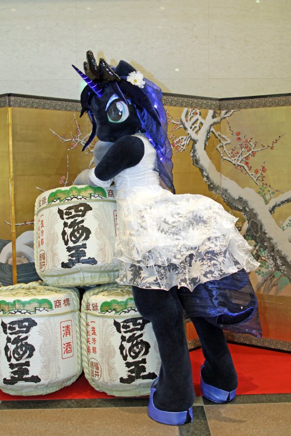 Japan Meeting of Furries 2017, Ponies