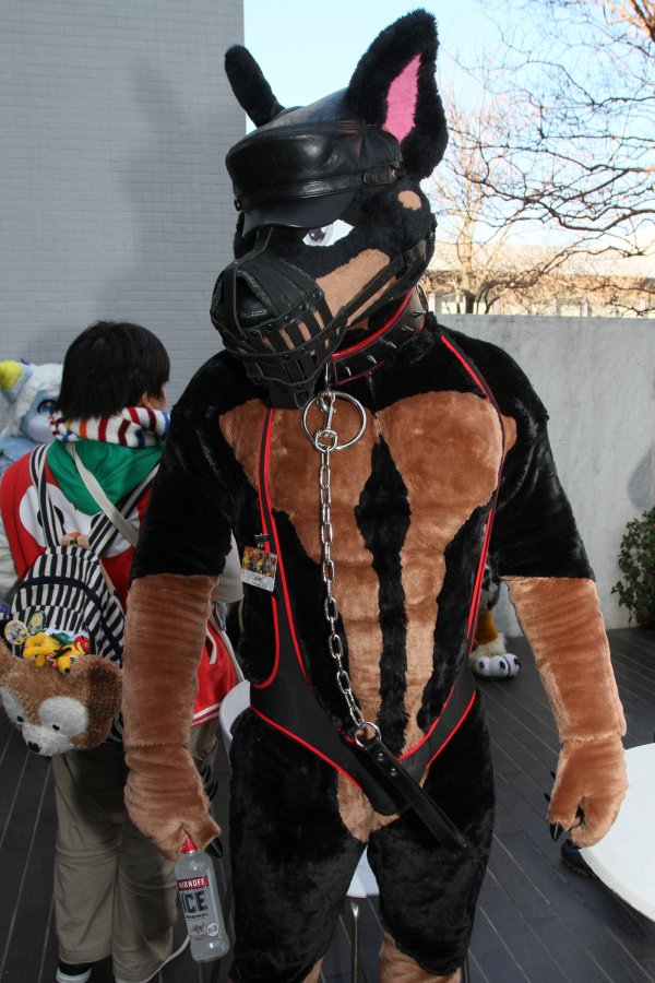 Japan Meeting of Furries 2018, Convention photos
