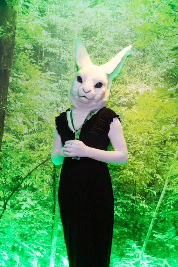 NordicFuzzCon 2018, Lumie bunny