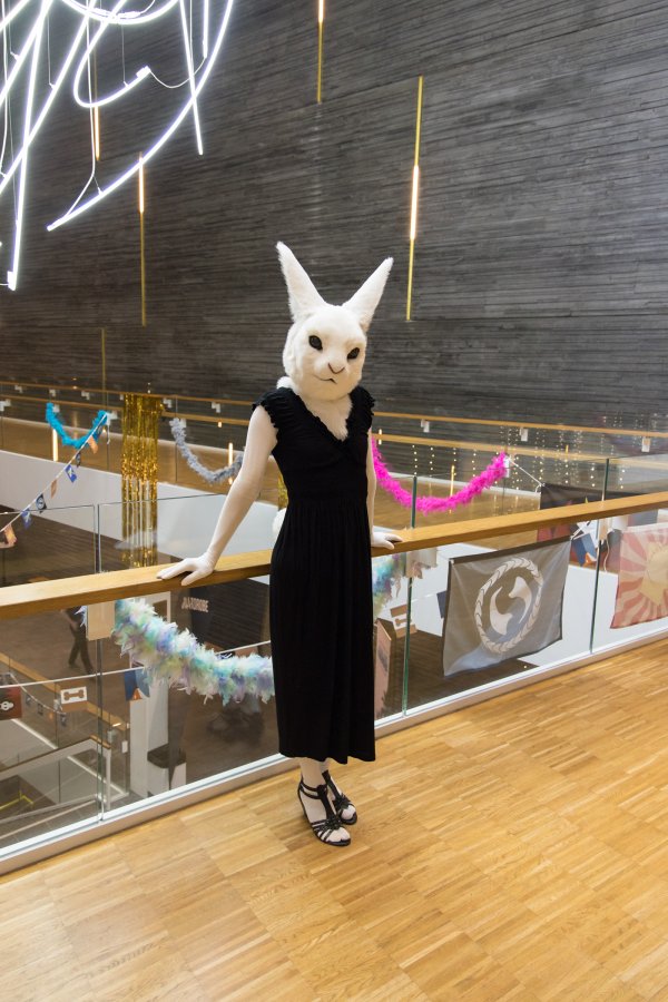 NordicFuzzCon 2020, Lumie bunny