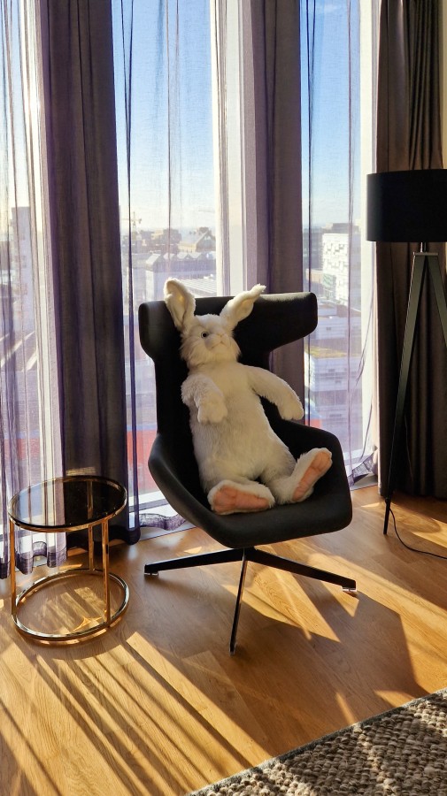 NordicFuzzCon 2023, Plushie bunny