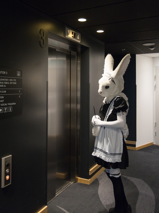 NordicFuzzCon 2023, Lumie bunny