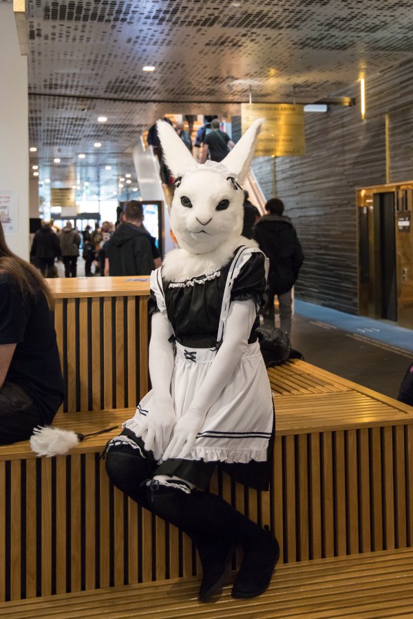 NordicFuzzCon 2023, Lumie bunny