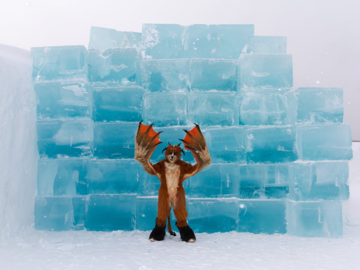 Furry northern Sweden trip, Ice Hotel