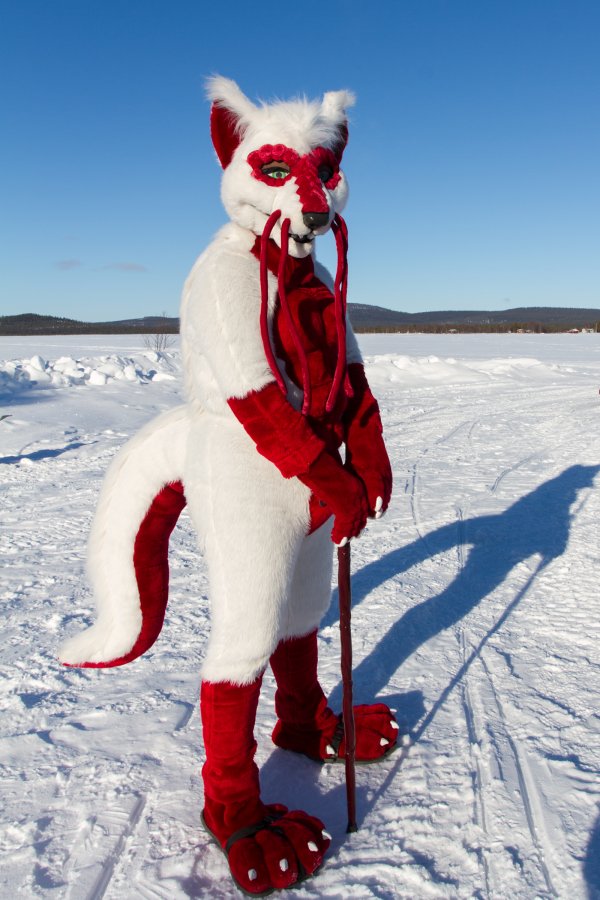 Furry northern Sweden trip, Other photos