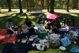 Belgian Cosplay Team picnic