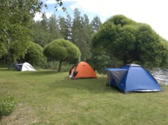 FinFur Summer Camp 2012