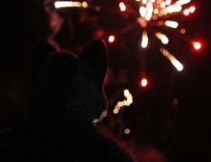 Furs on Fire 2011