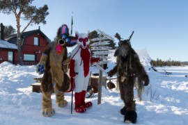 Furry northern Sweden trip