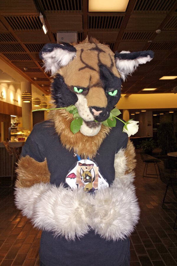 FinFur Animus 2015, Fursuiters