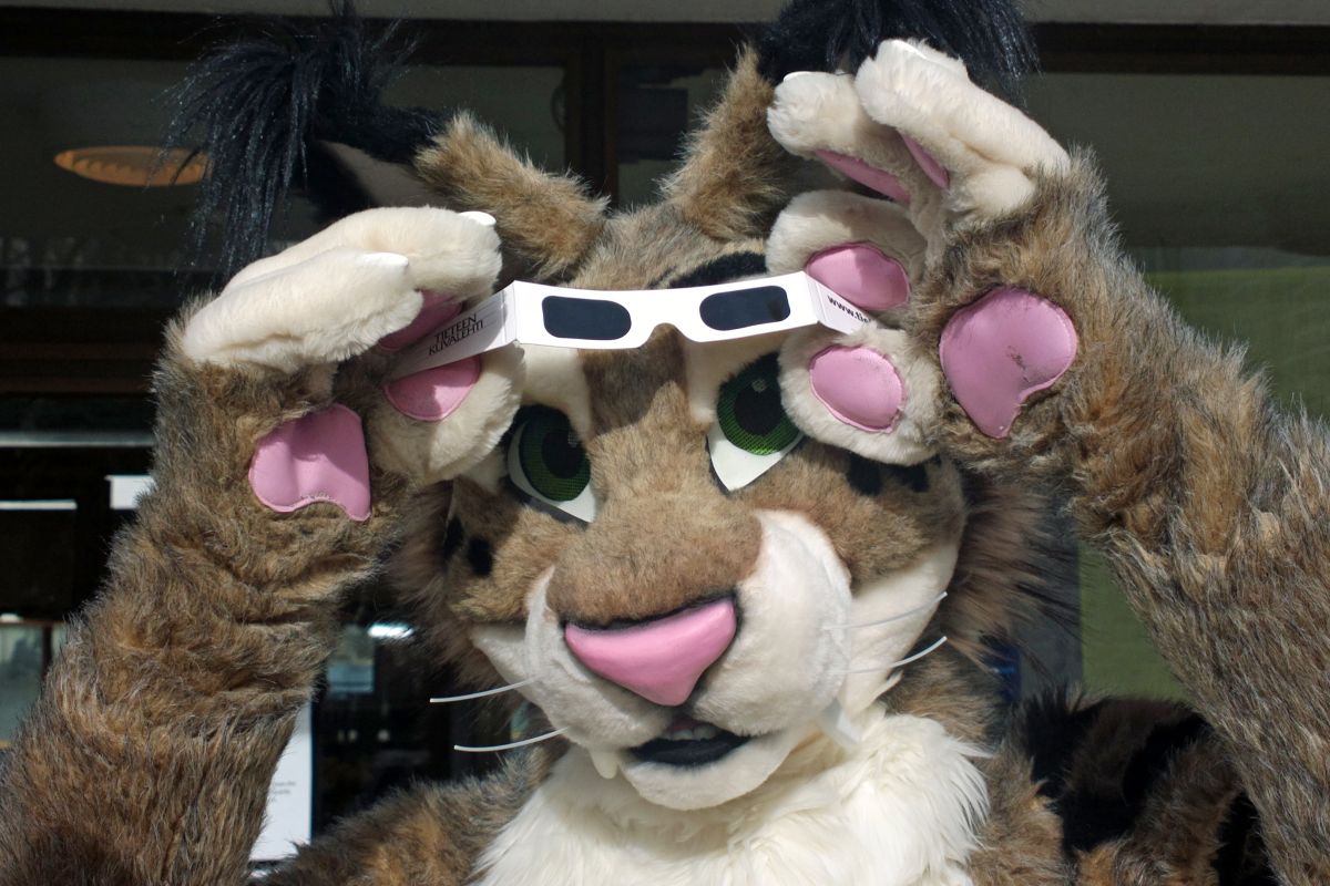 FinFur Animus 2015, Everything else