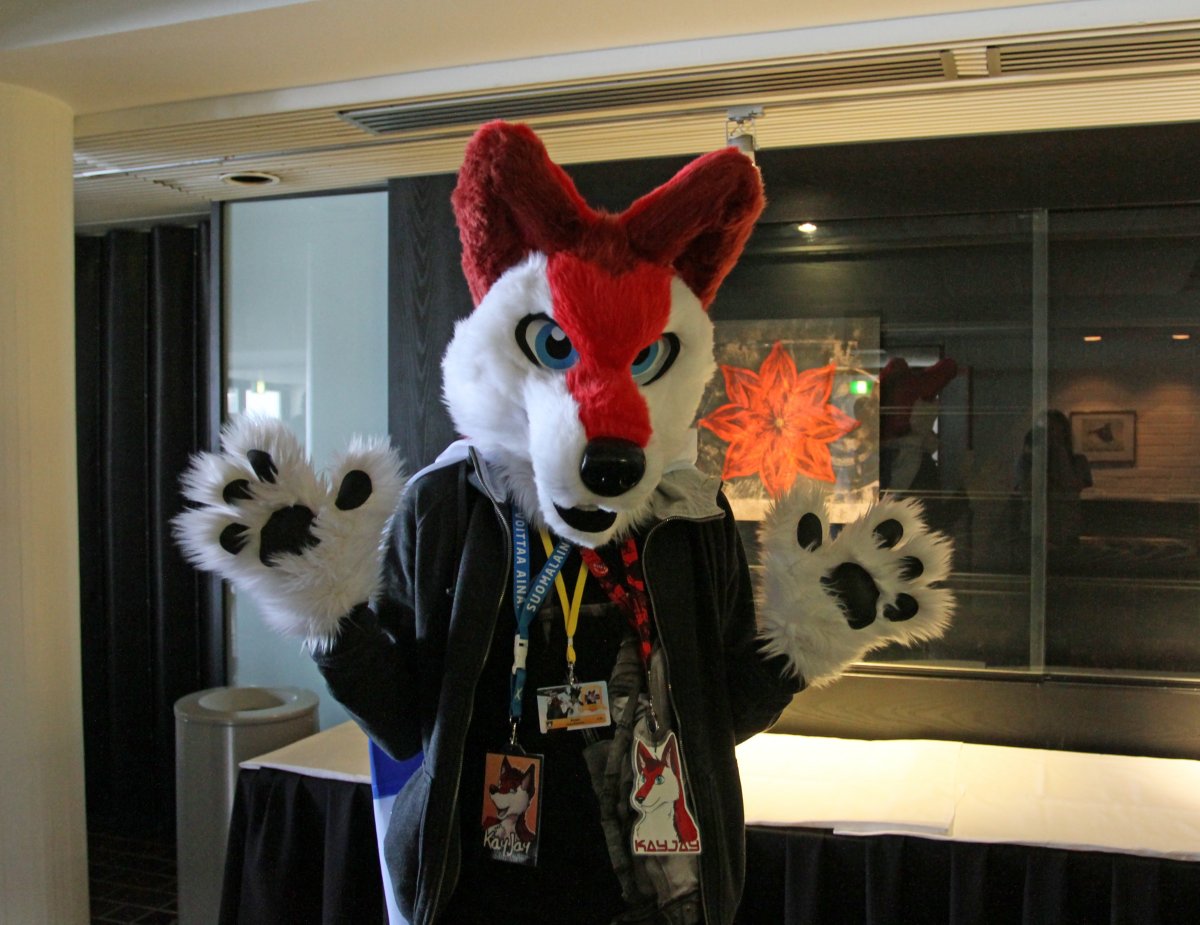 FinFur Animus 2015, Fursuiters