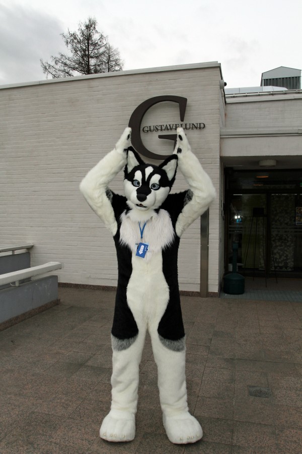 FinFur Animus 2015, Fursuiters