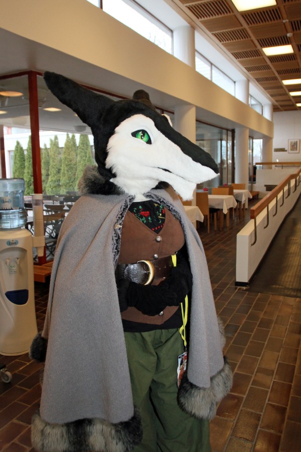 FinFur Animus 2015, Fursuiters