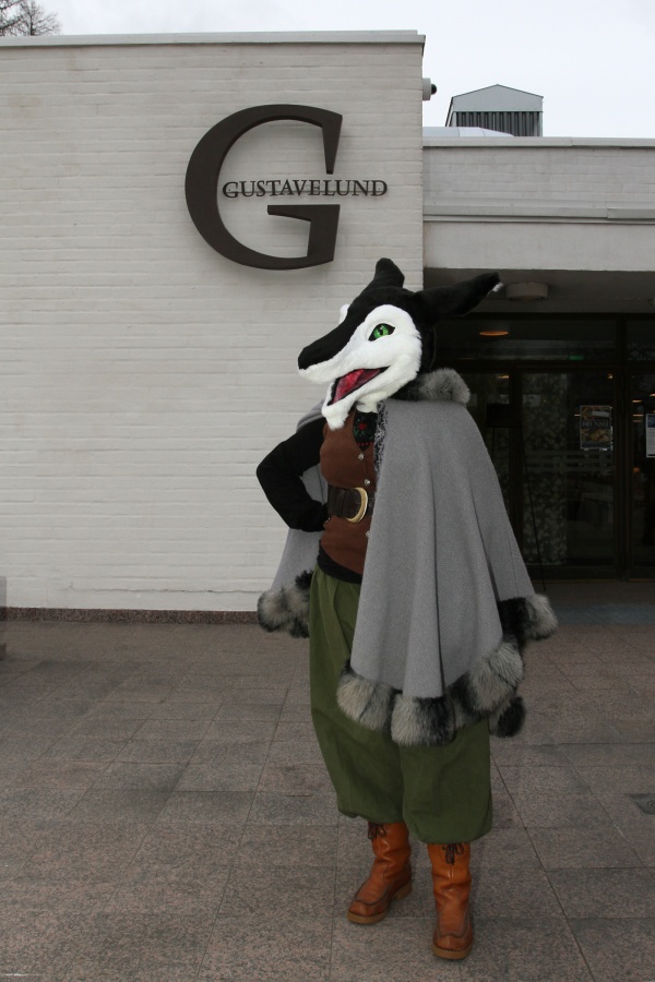 FinFur Animus 2015, Fursuiters