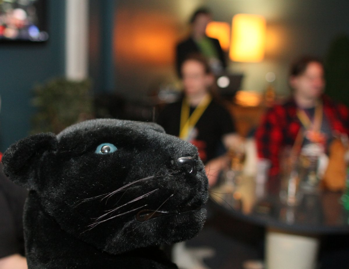 FinFur Animus 2015, Everything else