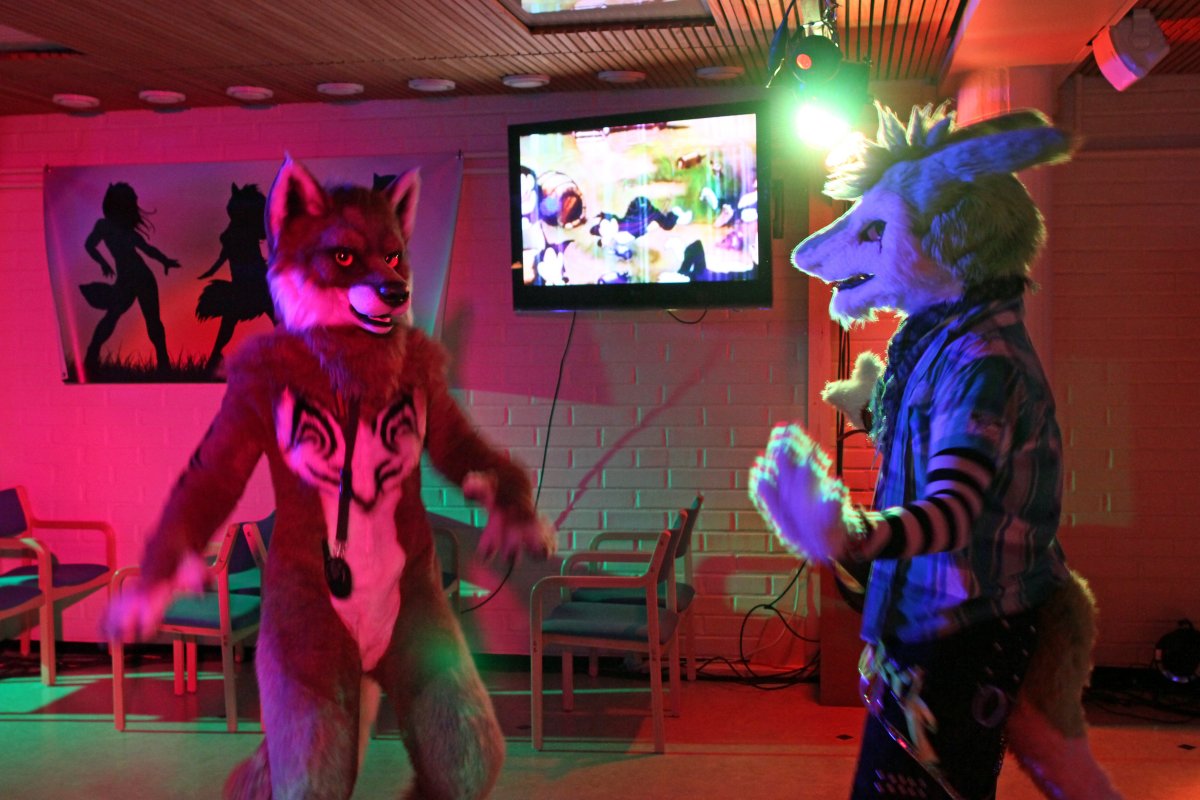 FinFur Animus 2015, Dances