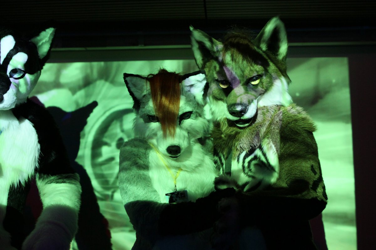FinFur Animus 2015, Dances