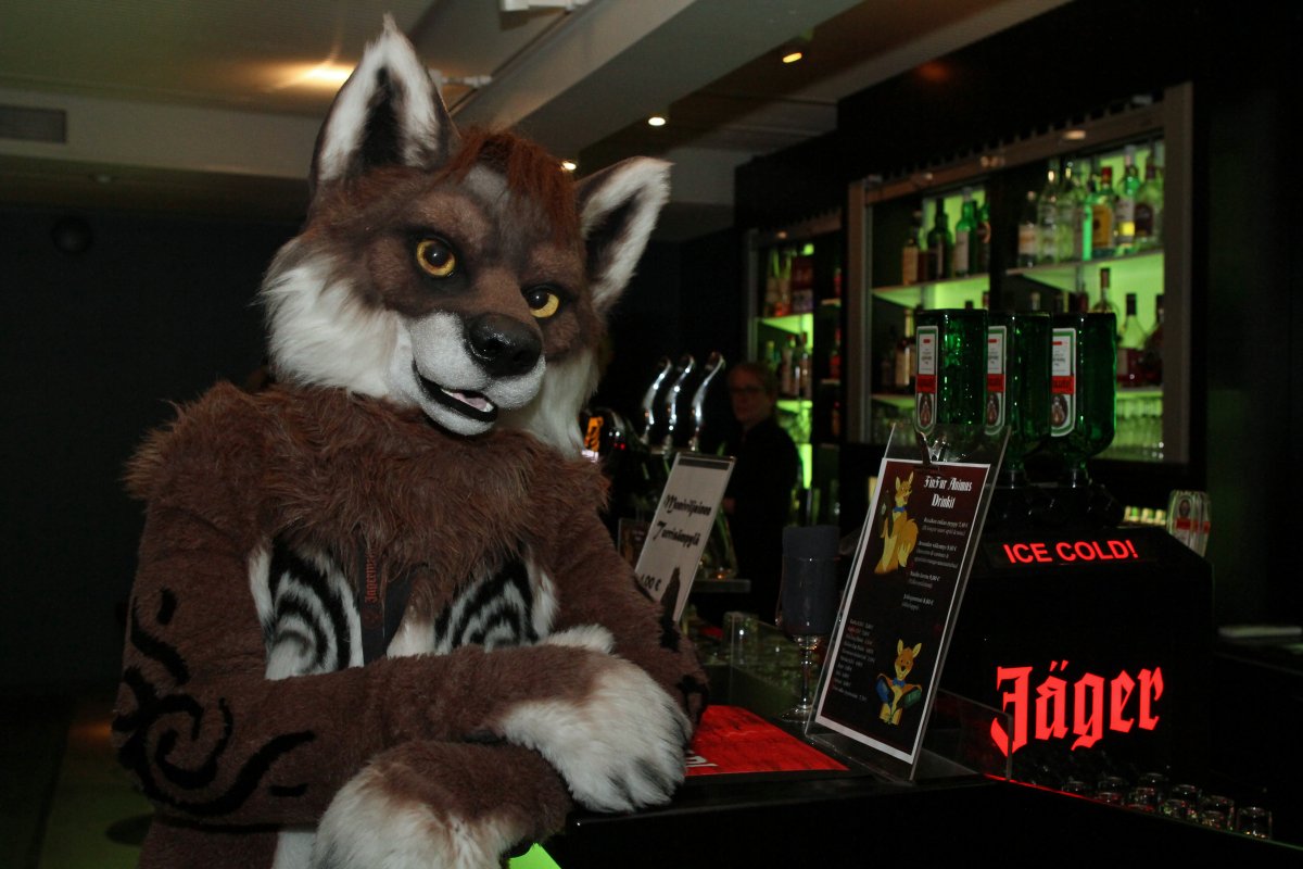 FinFur Animus 2015, Fursuiters