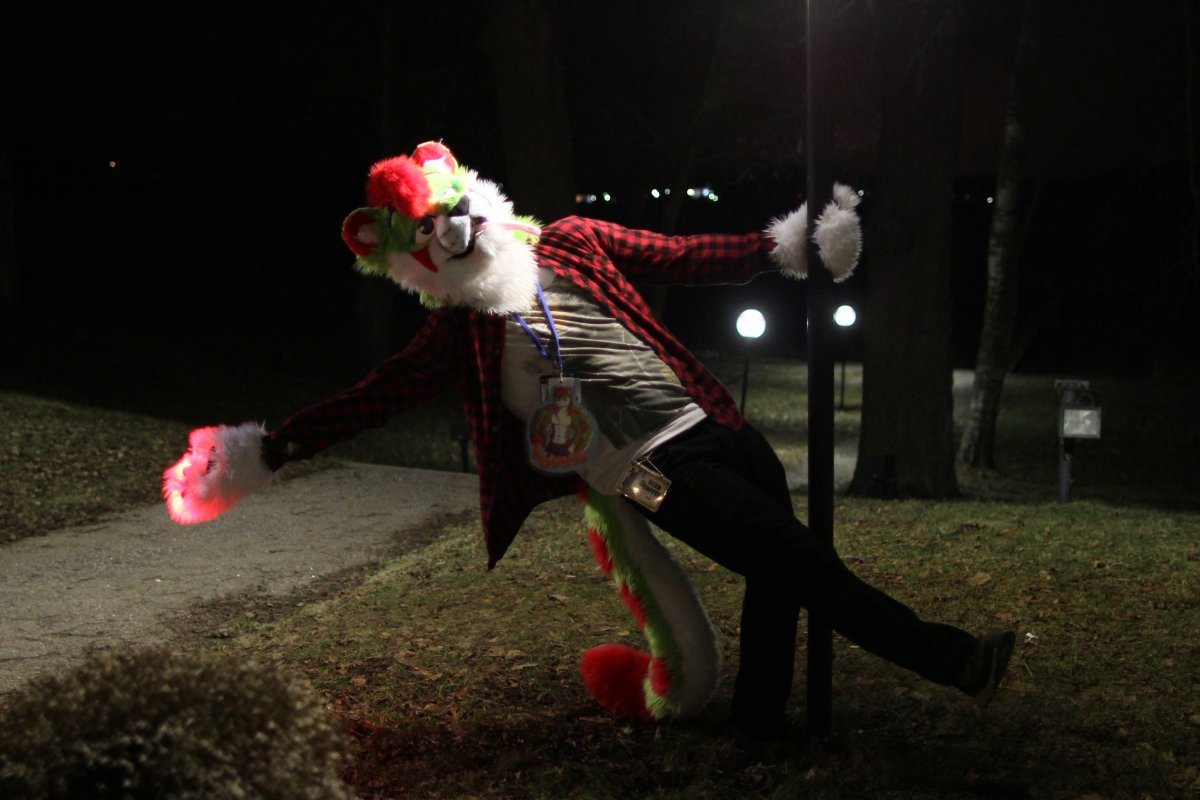 FinFur Animus 2015, Fursuiters